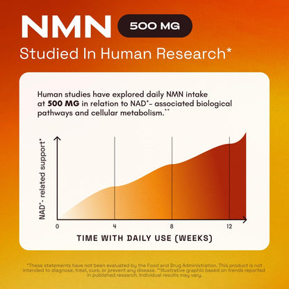 4-in-1 NMN Advanced Complex – NAD+ Booster with Resveratrol, Quercetin & TMG.
